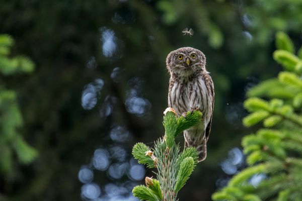 kt-02944ED4D8-032C-998B-66DB-2EAC5F70C362.jpg