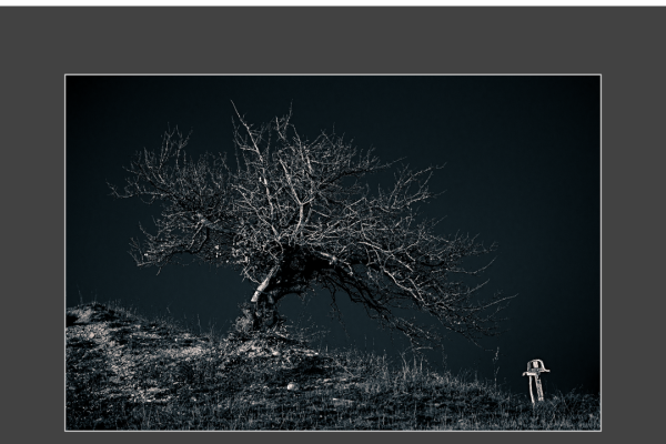 mfvsz-25-udv-pano-03C5A25350-444C-78FC-3E59-82FD7CF5830E.png