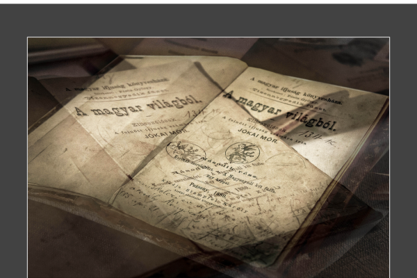 mfvsz-25-udv-pano-118F940FBB-9F22-7015-C5FD-9731732AD7B9.png