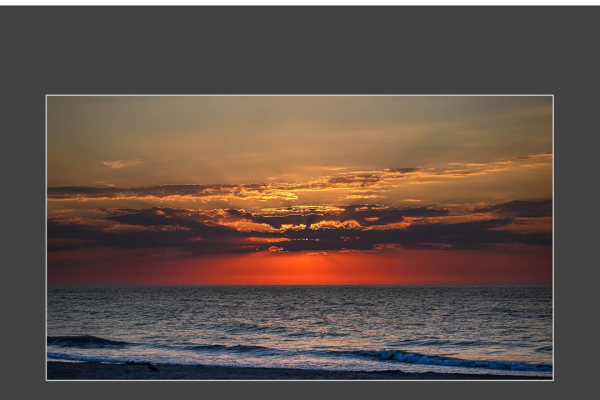 mfvsz-25-udv-pano-15EB78EE6D-5857-8240-56C4-AC7298ABA4E0.png