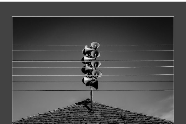 mfvsz-25-udv-pano-191E5B0C4F-CA48-45DF-7C02-3BE7E2FE40AB.png