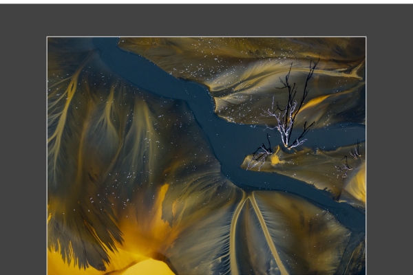 mfvsz-25-udv-pano-38CDC71E68-7B85-4938-45CC-A3163D9356AB.png
