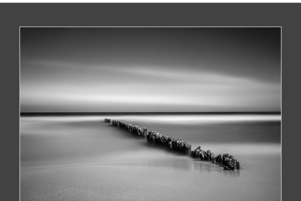 mfvsz-25-udv-pano-43C13E9D1B-3B0C-A9A8-0757-725158DBA400.png