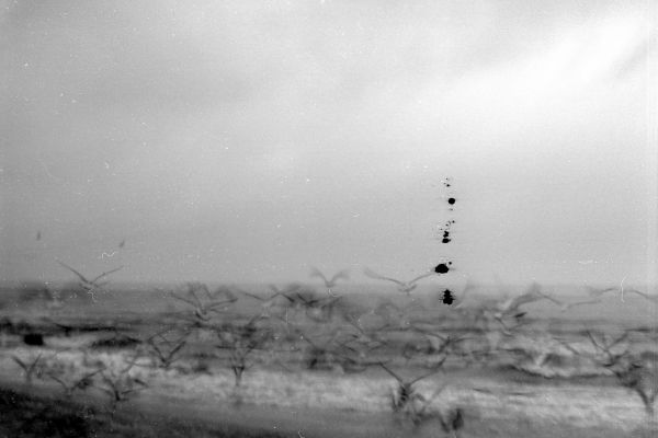 fl-port1080D2E505-7B1D-20E1-D625-DB0BD69005FE.jpg