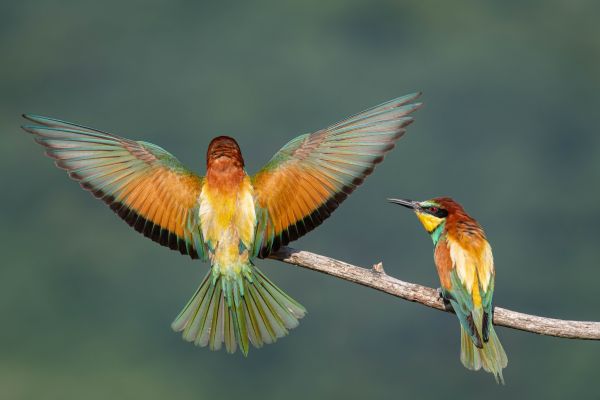 sza-014C0F7830-D297-CA78-CA5D-CCA5F912D7F2.jpg